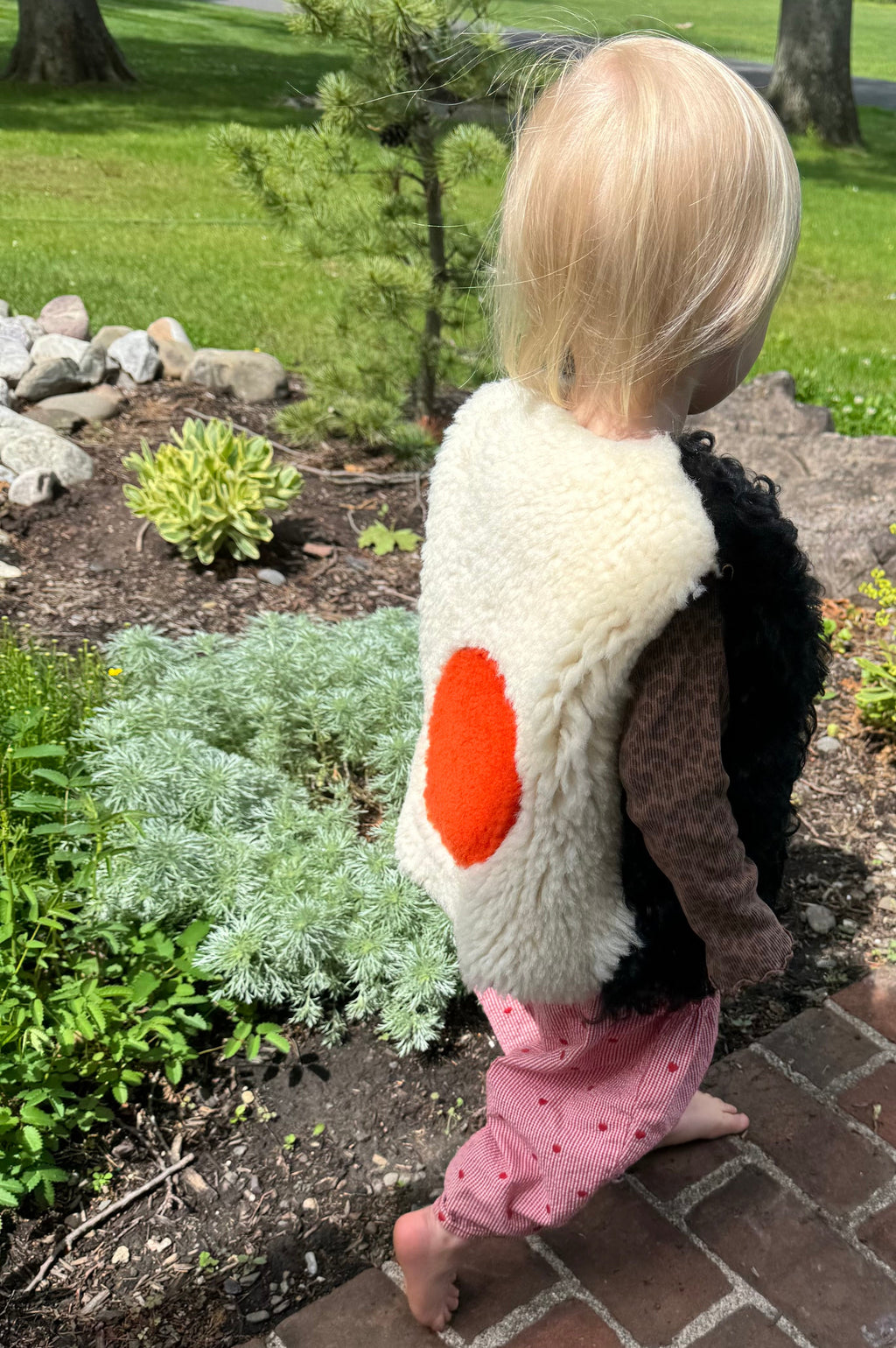 Solar Eclipse, Size 2-3 Years