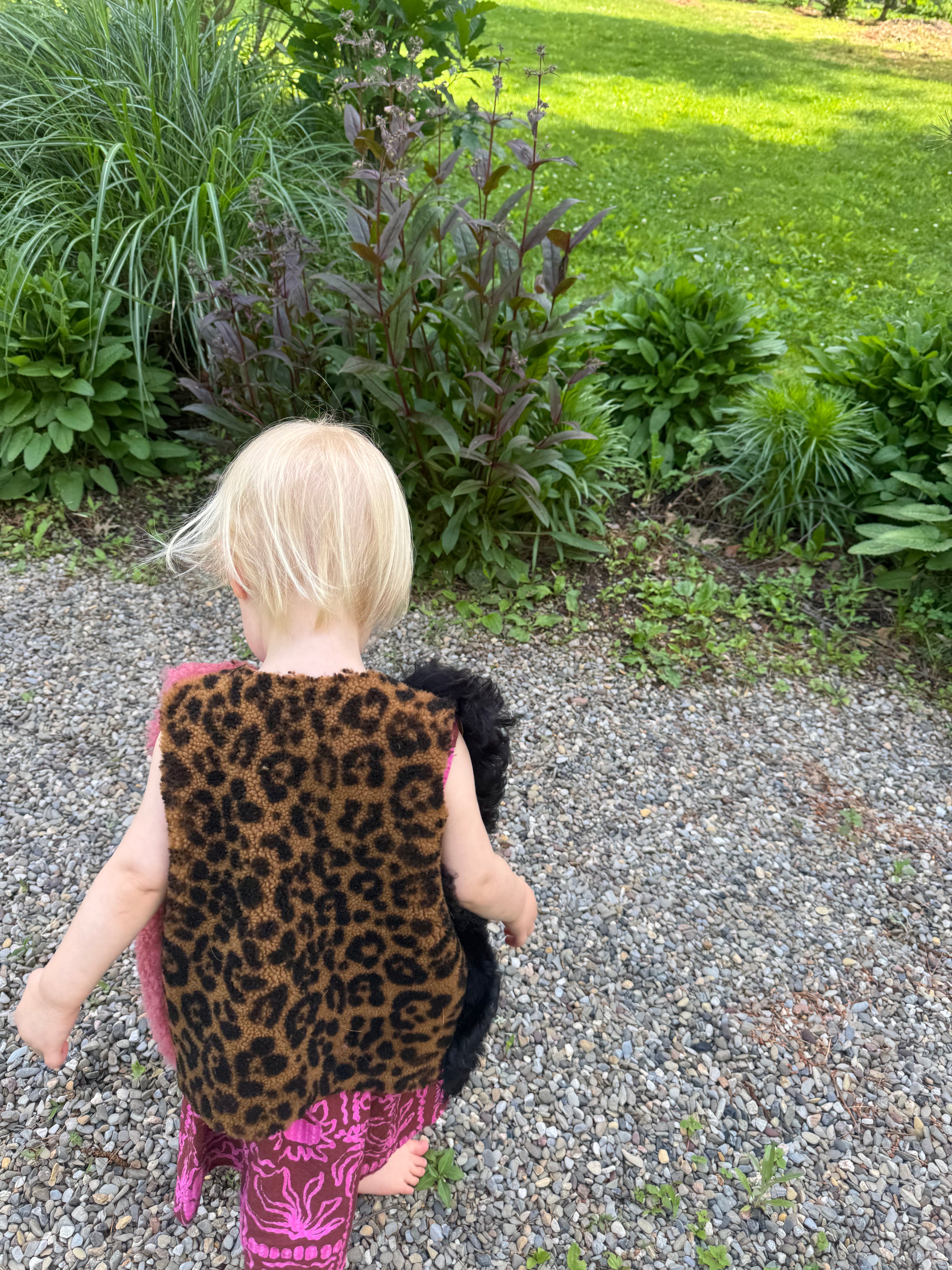 Safari Cat, Size 2-3 Years