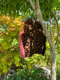 Safari Cat, Size 2-3 Years