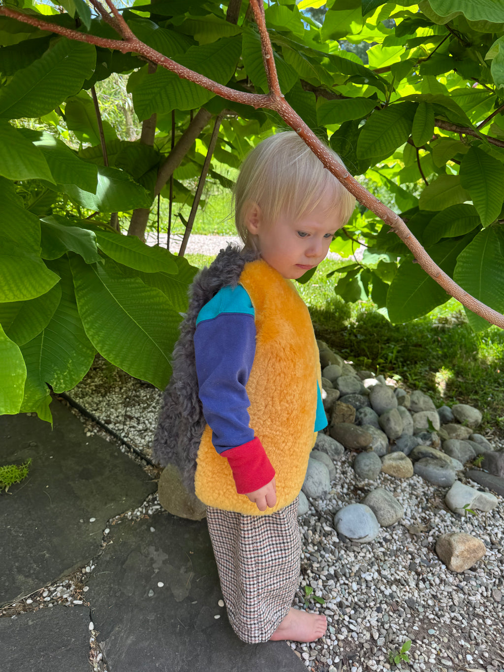 Royal, Size 2-4 Years